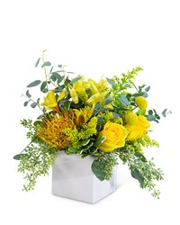 Radiance -A local Pittsburgh florist for flowers in Pittsburgh. PA