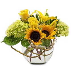 Sunshine Rays -A local Pittsburgh florist for flowers in Pittsburgh. PA