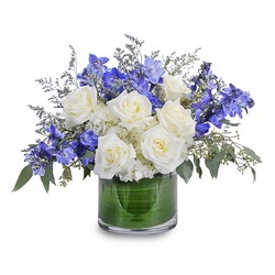 Blue Frost -A local Pittsburgh florist for flowers in Pittsburgh. PA