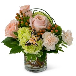 Expressions of Gratitude -A local Pittsburgh florist for flowers in Pittsburgh. PA