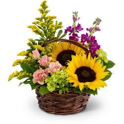 Wild Woodlands -A local Pittsburgh florist for flowers in Pittsburgh. PA