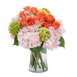 Beauty in Blossom -A local Pittsburgh florist for flowers in Pittsburgh. PA
