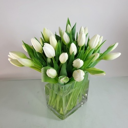 White Tulips -A local Pittsburgh florist for flowers in Pittsburgh. PA